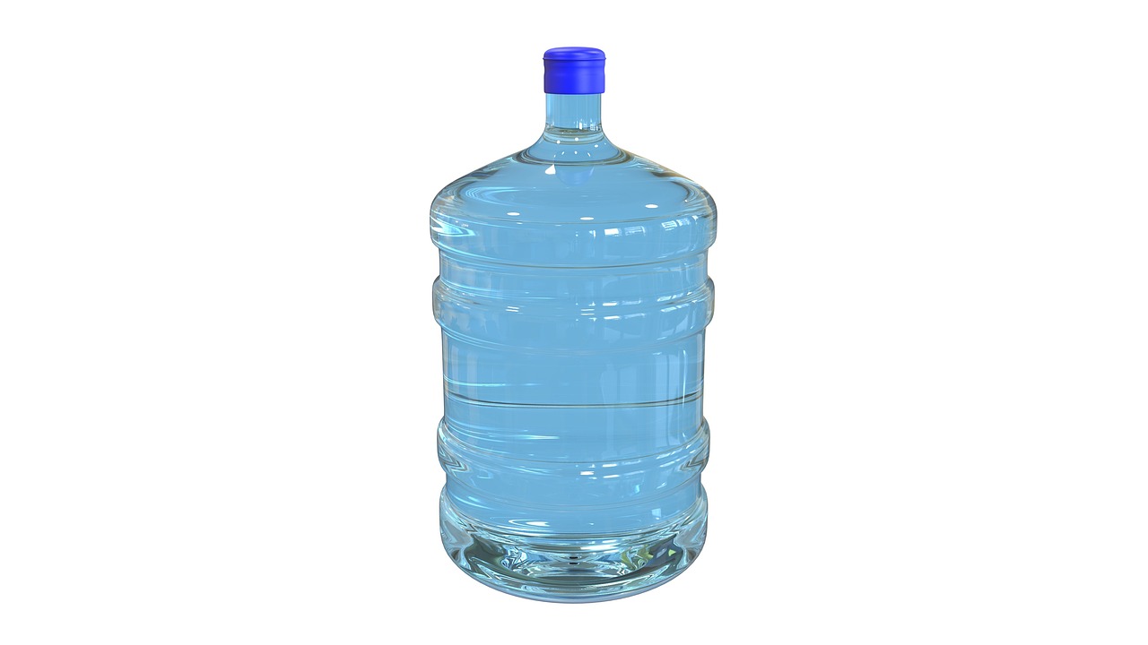 20대보험
